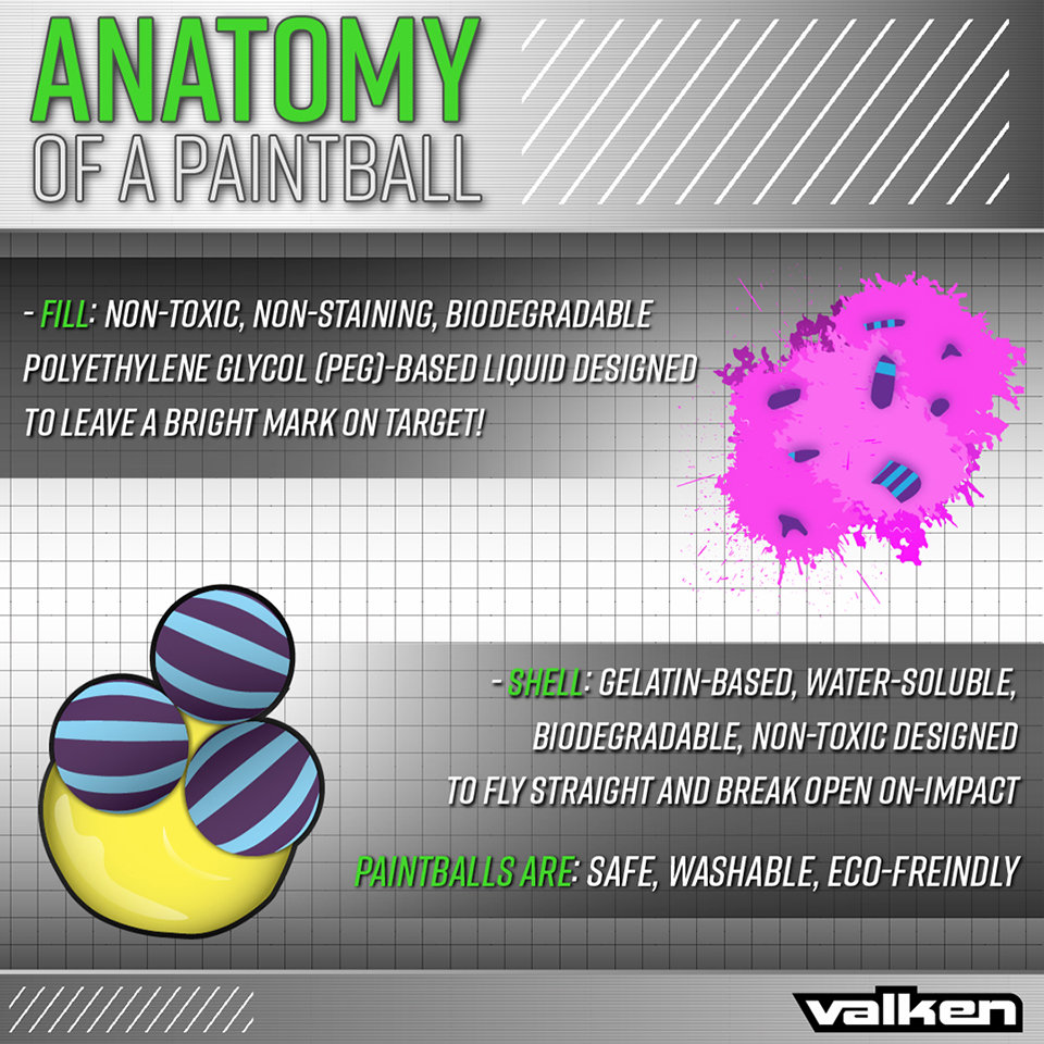 What is a paintball made of?